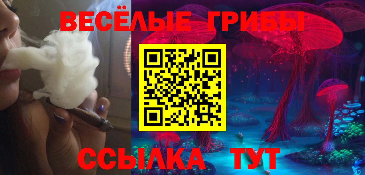 Соликамск  Псилоцибиновые грибы GOLDEN TEACHER  Вход с VPN 